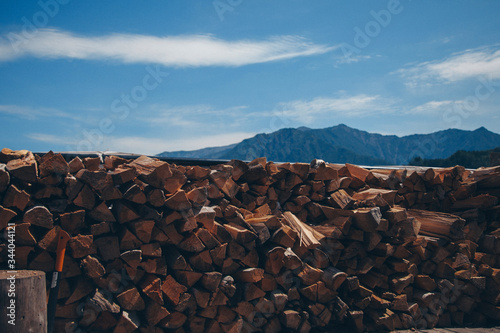 prepared firewood for the winter and an axe. dry fallen trees on the ground. Sawmill, woodworking industry, construction