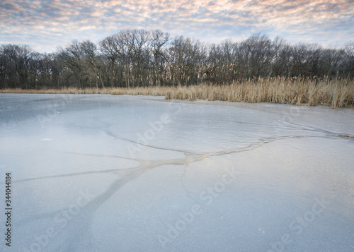 Wallpaper Mural Ice fissures create interesting patters on the frozen surface of a Midwest marsh landscape. Torontodigital.ca