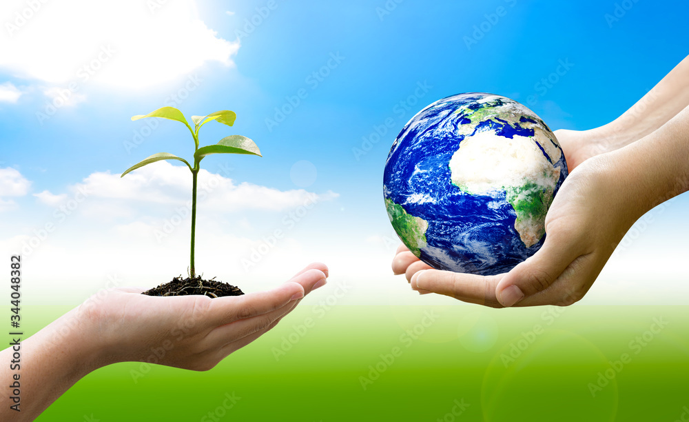 Woman hands holding world or globe and holding sprout on earth day.Environment conservation and energy saving concept.Elements of this image are furnished by NASA. Woman hands holding world or globe and holding sprout on earth day.Environment conservation and energy saving concept.Elements of this image are furnished by NASA.