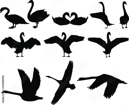 Swan Silhouette Vector