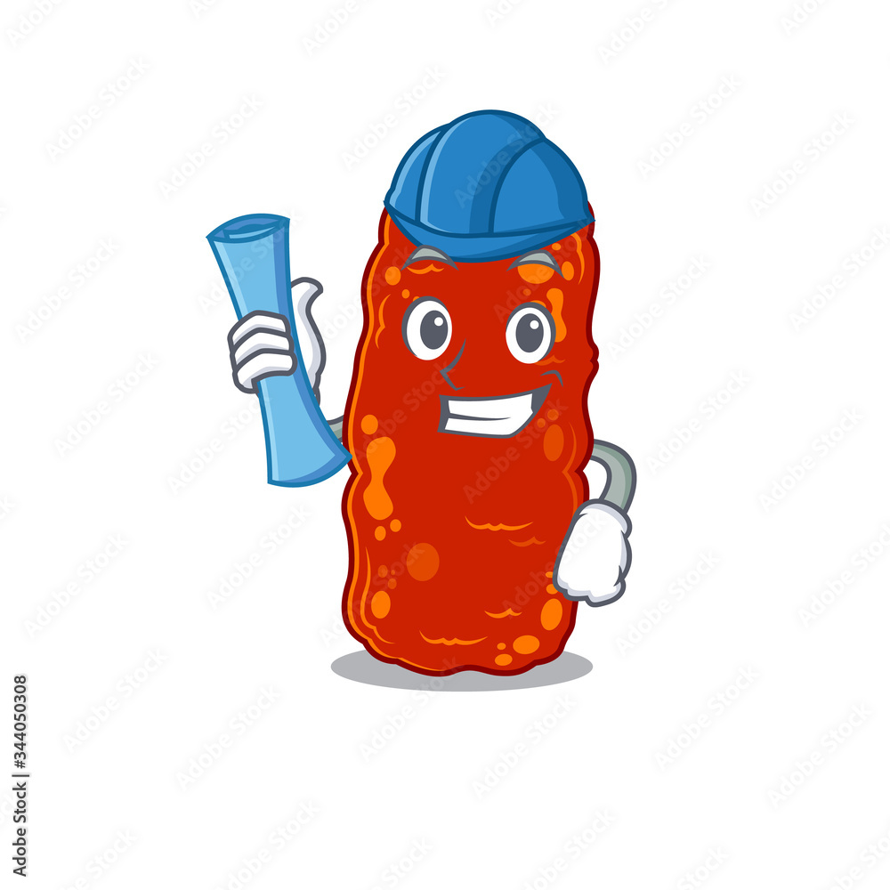 Cartoon character of acinetobacter bacteria brainy Architect with blue prints and blue helmet Cartoon character of acinetobacter bacteria brainy Architect with blue prints and blue helmet