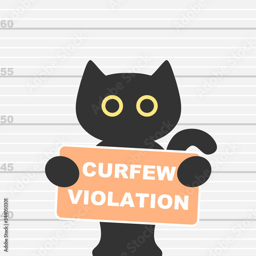 Black cat convicted of curfew violation during stay at home order  photo