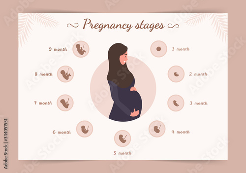 Infographic of pregnancy stages. Silhouette of arab woman in hijab. Vector illustration in flat style.