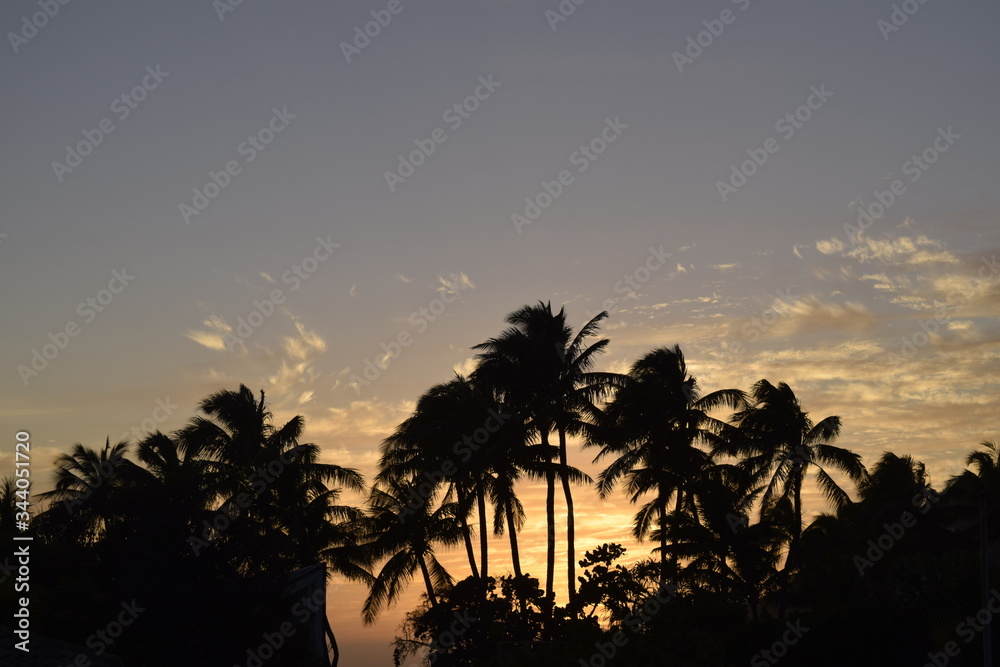 Obraz premium palm trees at sunset 