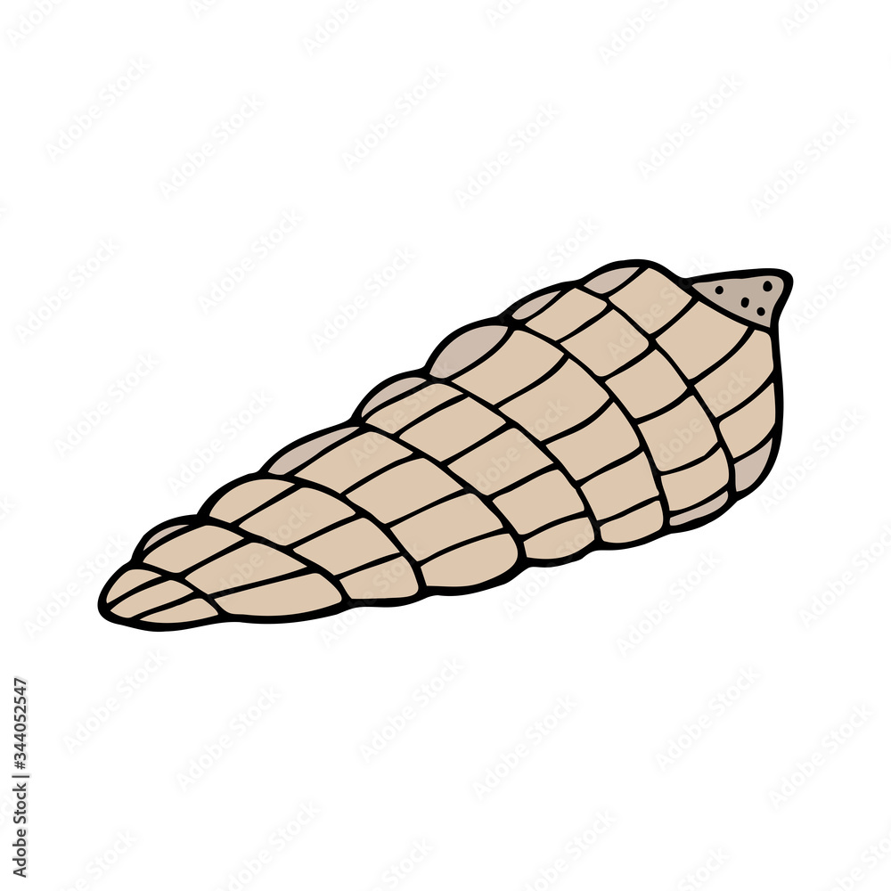 Hand drawn colorful sea shell isolated on a white background. Doodle, simple outline illustration. It can be used for decoration of textile, paper and other surfaces. Hand drawn colorful sea shell isolated on a white background. Doodle, simple outline illustration. It can be used for decoration of textile, paper and other surfaces.