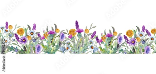 Wild flowers background Watercolor. Field flowers. Bohemian bouquets of flowers, wreaths, wedding compositions, anniversary, birthday, Invitations greeting cards