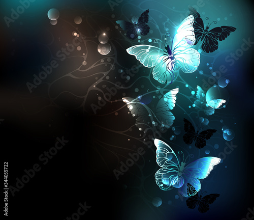 Mint Night butterflies
