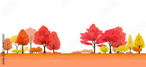 紅葉の木　風景イラスト