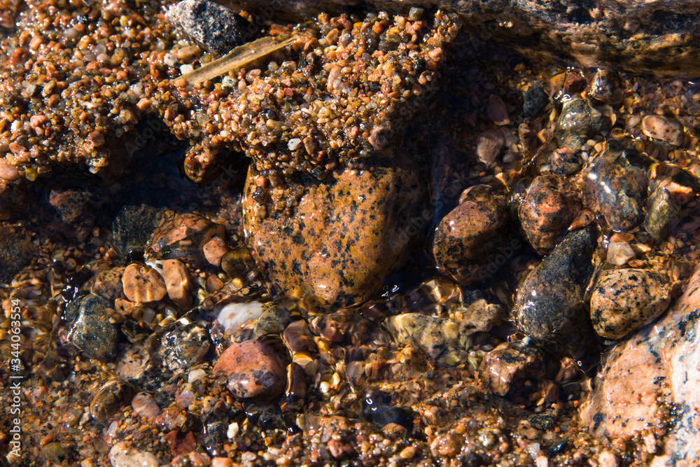 Beautiful summer landscape. Background with sand and small pebbles. Multi-colored sea pebbles covered with clear water. The shore of the beach with sand and pebbles in sunny day. Color stones. Nature.