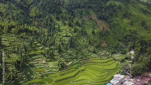 Green and yellow terraces of rice fields, accompanied by green forests, in the Zhaoxing Dong village guizhou, China (aerial photography) photo