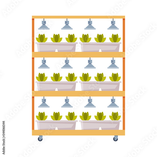 Hydroponics and Aeroponics Gardening System  Eco Friendly Organic Farming Technology with Plants Growing in Pots Flat Vector Illustratio