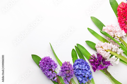 Beautiful hyacinth flowers on white background