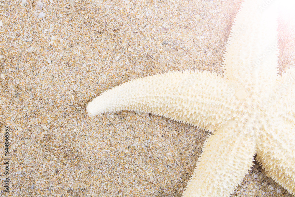 Starfish on golden oceanic sand, in the rays of the summer sun. The concept of tourism, holidays and travel, vacation by the sea ocean. Copy space. Flat lay. Top view. Starfish on golden oceanic sand, in the rays of the summer sun. The concept of tourism, holidays and travel, vacation by the sea ocean. Copy space. Flat lay. Top view.