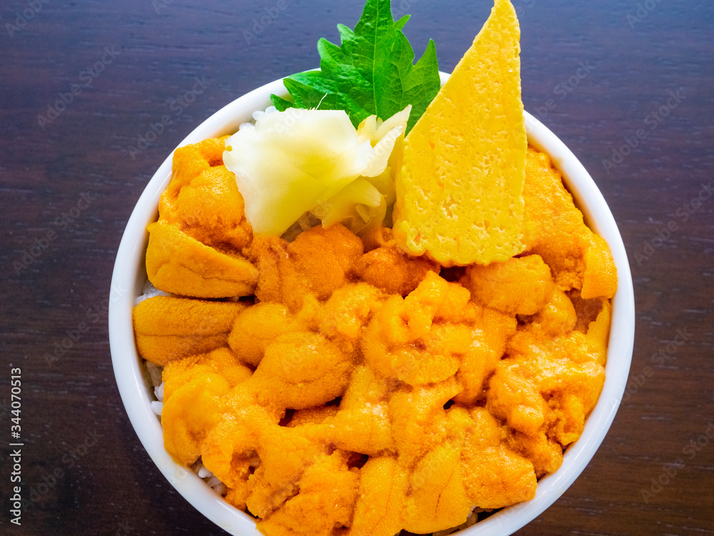 Sea urchin rice bowl (Sea urchin donburi) Stock Photo Adobe Stock
