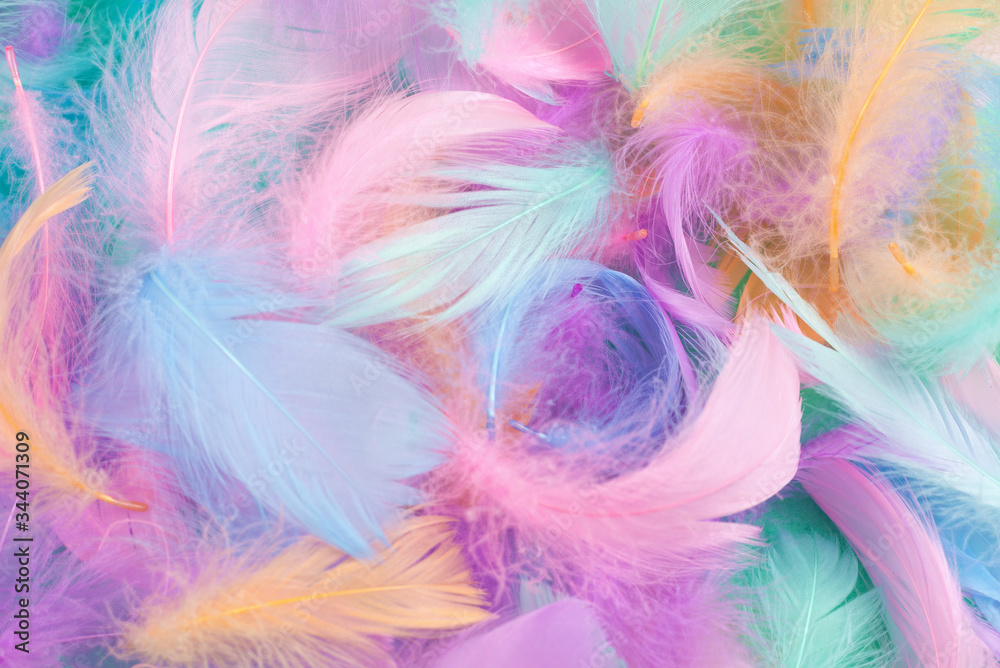 Colorful feather background, top view. Colorful feather background, top view.