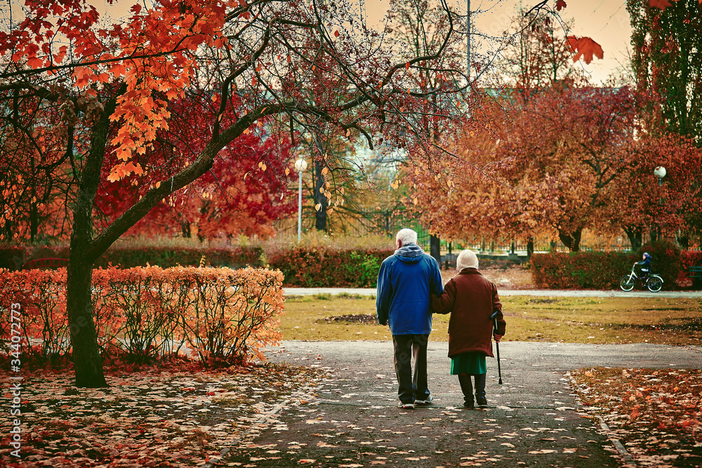 Fototapeta premium Rear view of an elderly couple on a walk in an autumn Park