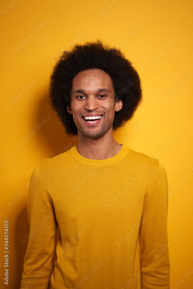 Portrait of cheerful African man with Afro hair Portrait of cheerful African man with Afro hair