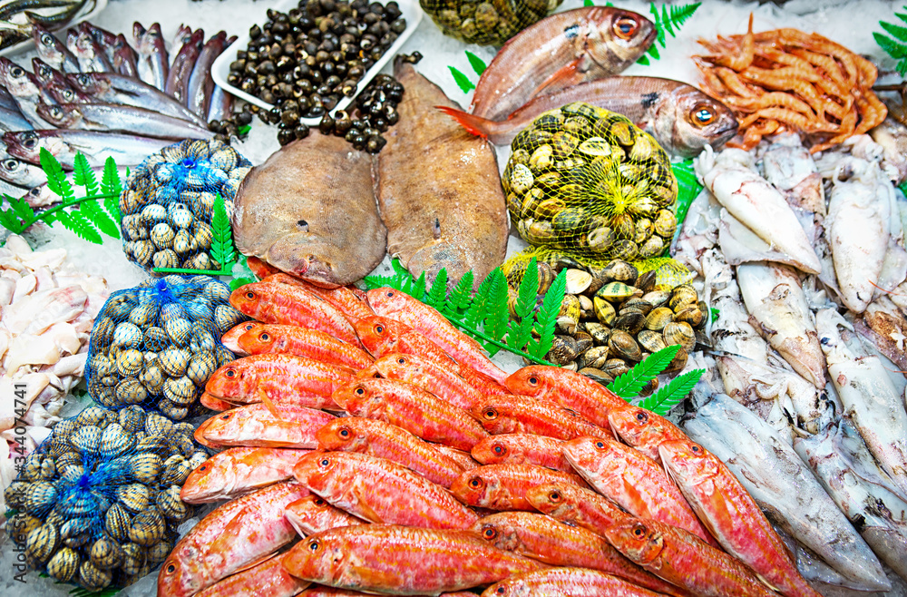 different fish, shellfish and molluscs at the counter of a fish shop