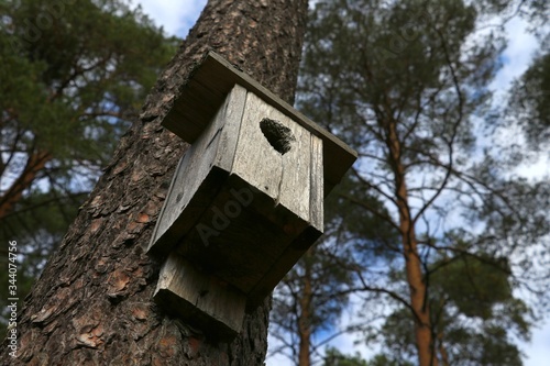 Shelter for a squirrel. Squirrel House © Alex 