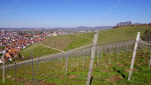 Obraz na płótnie Frühlingsblüten w salonie
