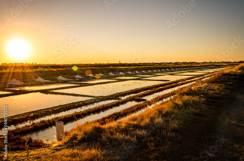 Marais salants ile de ré coucher soleil 