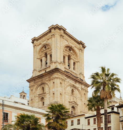 Granada Cathedral tower among palm trees a sunny summer day, Andalusia, Spain
