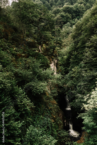 Small waterfall completely surrounded by a large green forest mass.