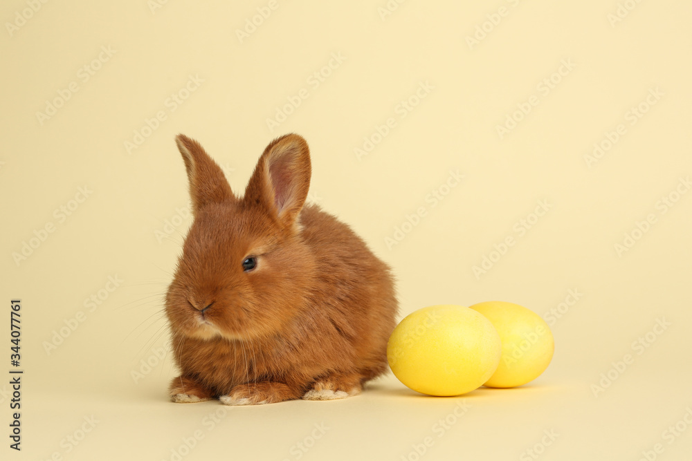Adorable fluffy bunny near Easter eggs on yellow background Adorable fluffy bunny near Easter eggs on yellow background