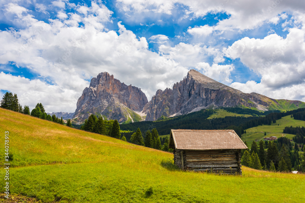 Magic of the Dolomites in summer. Alpe di Siusi. UNESCO. Italy.