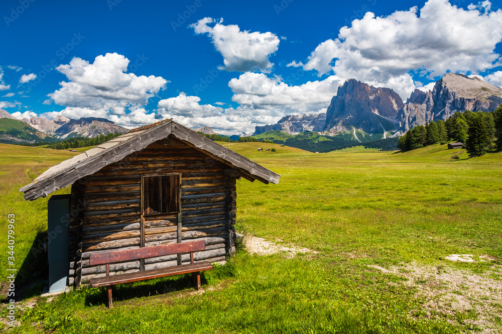 Magic of the Dolomites in summer. Alpe di Siusi. UNESCO. Italy.