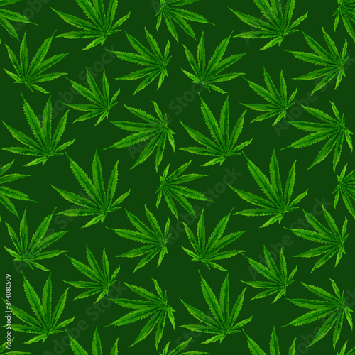 Marijuana gouache seamless pattern . Hemp marijuana, hemp leaves on green background. Green smoke hashish narcotic