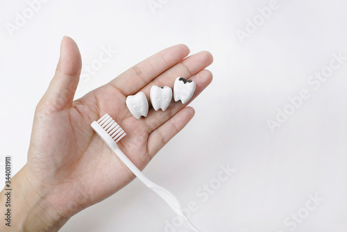 Healthy Tooth and Cavity and Decayed Tooth on Hand with Toothbrush on White Background, Regularly Check Your Dental Health. Started on the path to better oral health and hygiene © mootun