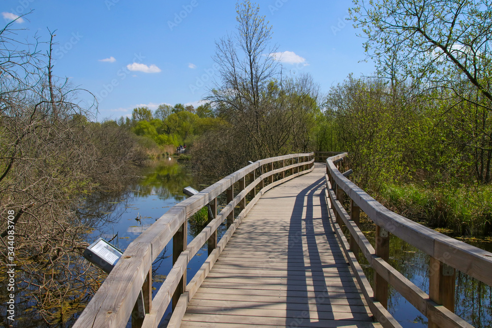 A Wooden plank bridge in nature reserve 
