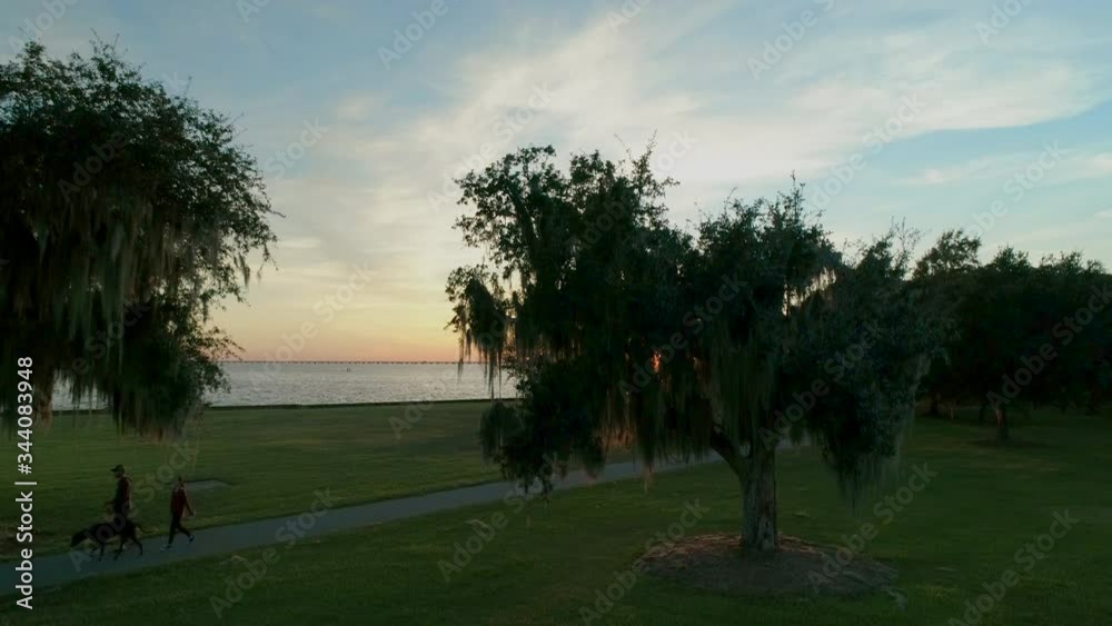 Amazing sunset over a lakefront with southern oak trees and moss in the foreground. Amazing sunset over a lakefront with southern oak trees and moss in the foreground.