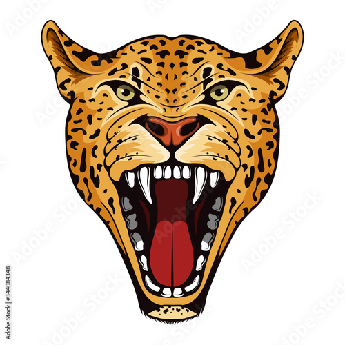 Canvas Print Jaguar, panther, American tiger