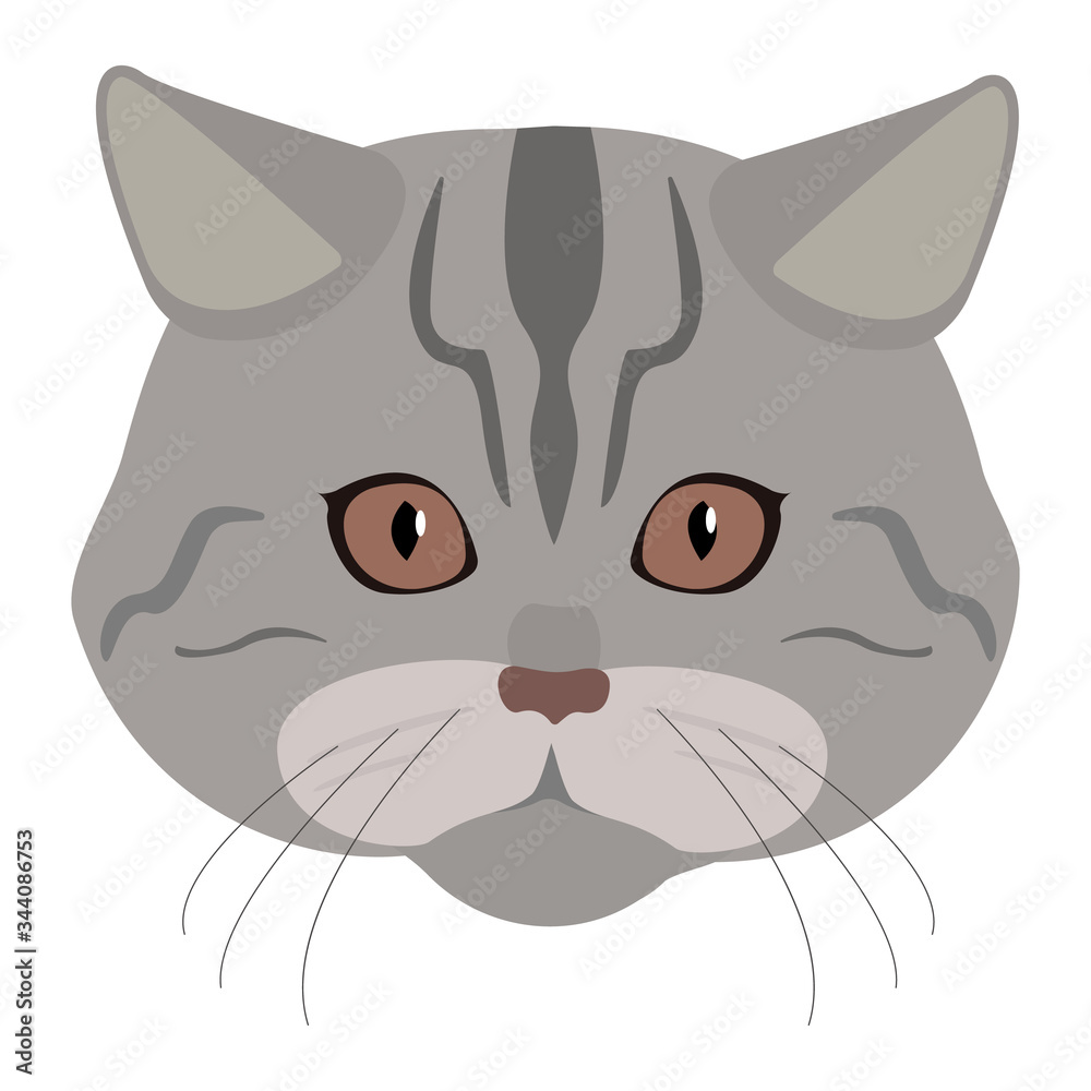 Fototapeta premium Muzzle (face) of a gray tabby cat isolated on a white background. Vector illustration of a cute cat. Thoroughbred cat vector icon