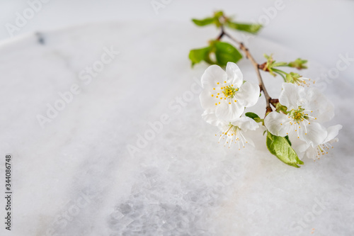 Fototapeta Naklejka Na Ścianę i Meble -  Empty marble board for product display with cherry blossoms flowers . Spa and bodycare