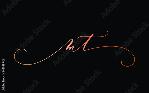 Εκτύπωση καμβά mt or m, t Lowercase Cursive Letter Initial Logo Design, Vector Template