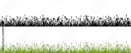 purple flowers and grass isolated on white background with alpha mask for easy isolation