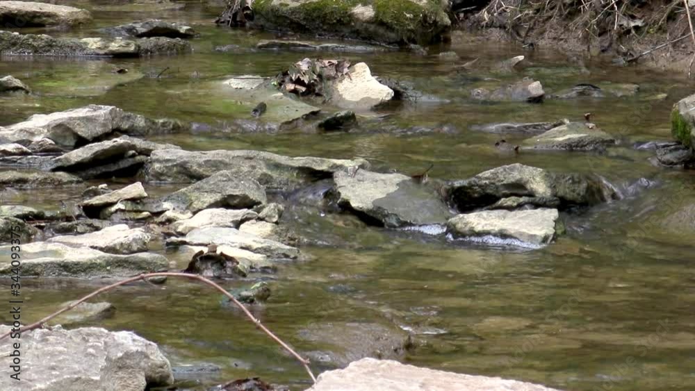 Clear cool creek water running quickly over large rocks Clear cool creek water running quickly over large rocks