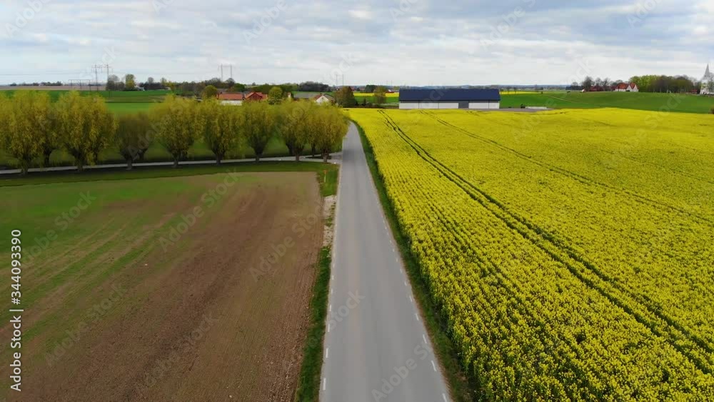 Drone going along street with fields on both sides, south Sweden prt1 Drone going along street with fields on both sides, south Sweden prt1