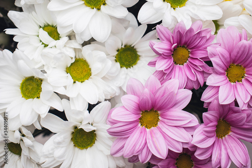 A bright bouquet of gerberas  creating a spring mood. The background of the multi-colored gerbera flowers.