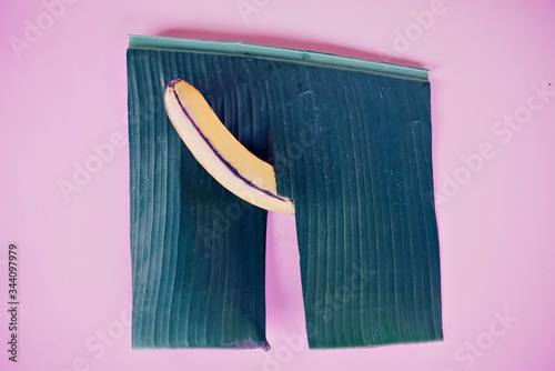 Banana on high alert appearing through banana leaf shorts with bright colorful background.