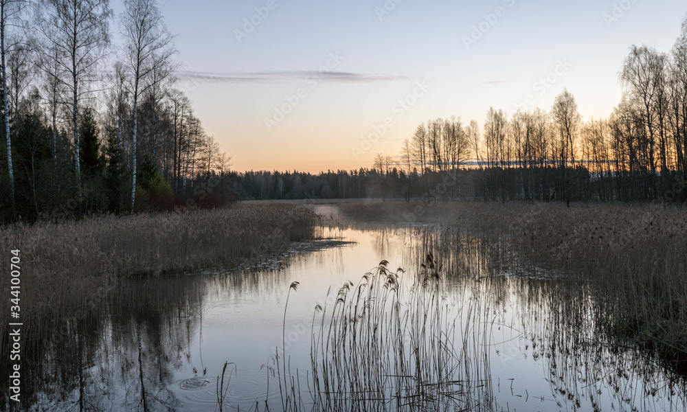Fototapeta premium a small river in sunrise, tree reflections in the water, dry reeds, light before sunrise