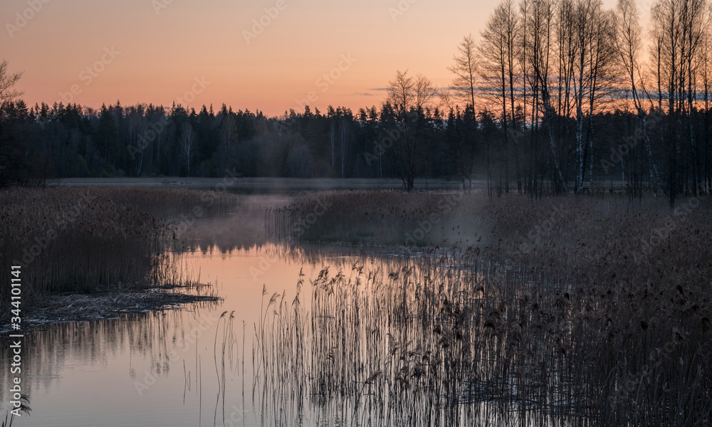 a small river in sunrise, tree reflections in the water, dry reeds, light before sunrise