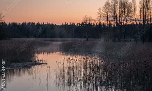 a small river in sunrise, tree reflections in the water, dry reeds, light before sunrise © ANDA