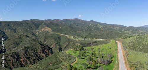 Green Wilderness with Asphalt Road photo