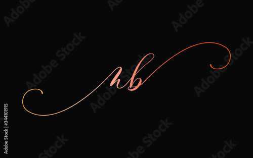 nb or n, b Lowercase Cursive Letter Initial Logo Design, Vector Template