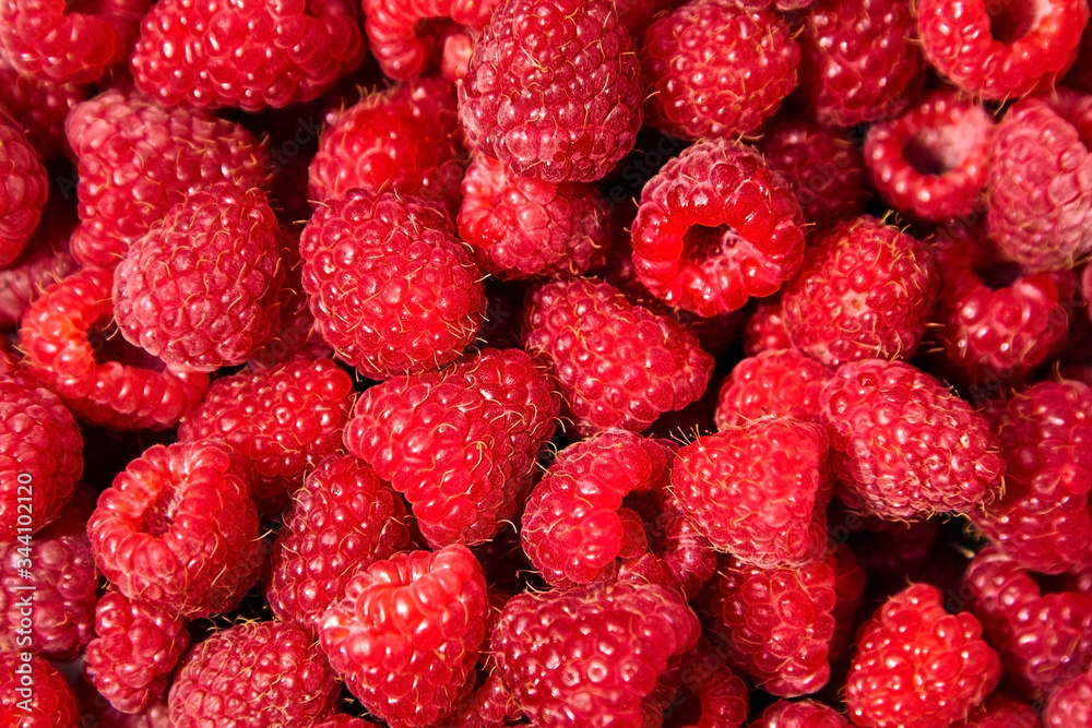 Raspberries background. Red berries of ripe raspberries Raspberries background. Red berries of ripe raspberries