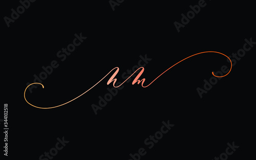 nm or n, m Lowercase Cursive Letter Initial Logo Design, Vector Template photo